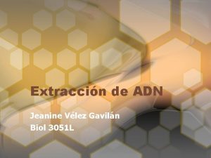 Extraccin de ADN Jeanine Vlez Gaviln Biol 3051