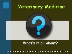 Veterinary Medicine Whats it all about Areas of