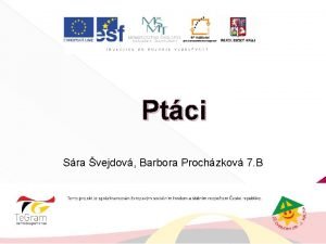 Ptci Sra vejdov Barbora Prochzkov 7 B Ptci