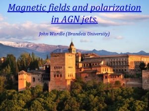 Magnetic fields and polarization in AGN jets John