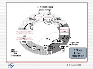 I Conditioning GraftversusHost disease Tissue Damage Physiopathology Host