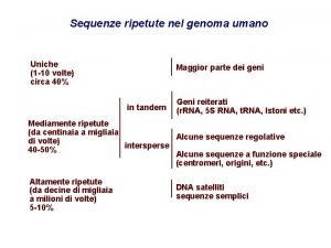 Sequenze ripetute nel genoma umano Uniche 1 10