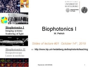 KirchhoffInstitut fr Physik Biophotonics I Imaging systems Scattering