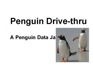 Penguin Drivethru A Penguin Data Jam 50 Activities