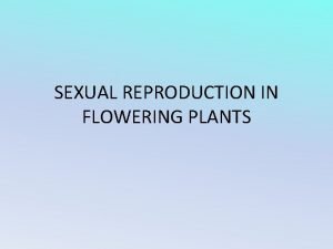 Emasculation in plants