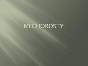 Mechorosty zástupci