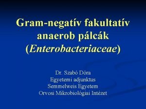 Gramnegatv fakultatv anaerob plck Enterobacteriaceae Dr Szab Dra