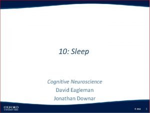 David eagleman sleep David eagleman sleep