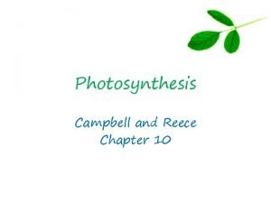 Photosynthesis equation