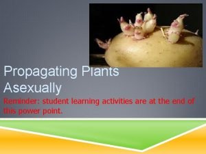 Propagating Plants Asexually Reminder student learning activities are