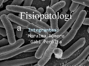 Fisiopatolog a Integrantes Moraima Romero Gabi Peralta Bacteriemia