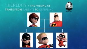 1 HEREDITY THE PASSING OF TRAITS FROM PARENTS