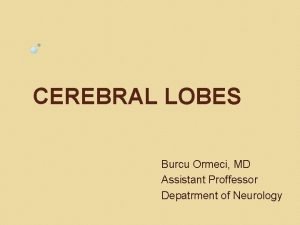 CEREBRAL LOBES Burcu Ormeci MD Assistant Proffessor Depatrment