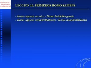 LECCIN 16 PRIMEROS HOMO SAPIENS Homo sapiens arcaico