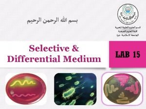 Selective and differential media
