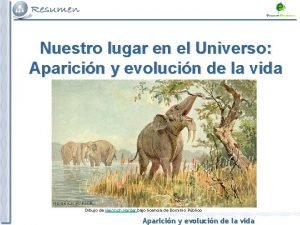 Nuestro lugar en el Universo Aparicin y evolucin