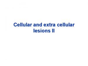 Cellular and extra cellular lesions II Steatosis fatty