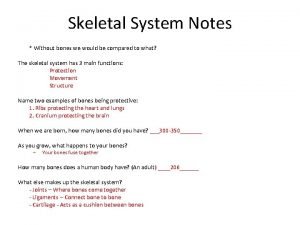 Skeletal system notes