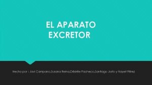 EL APARATO EXCRETOR Hecho por Javi Campano Susana