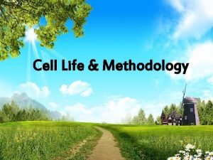 Cell Life Methodology Cell Meeting YCS is a