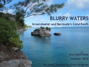 BLURRY WATERS Groundwater and Bermudas Coral Reefs Zoe