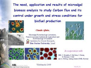 The need application and results of microalgal biomass