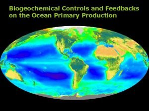 Biogeochemical Controls and Feedbacks on the Ocean Primary