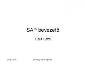 SAP bevezet Gaul Gza 2005 janur Szchenyi Istvn
