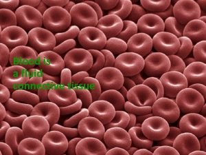 Blood is a fluid tissue with many перевод