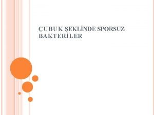 U B U K EKLNDE SPORSUZ BAKTERLER Lactabacillaceae