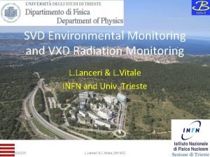 SVD Environmental Monitoring and VXD Radiation Monitoring L