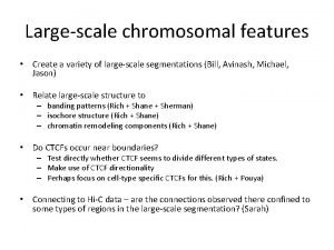 Largescale chromosomal features Create a variety of largescale