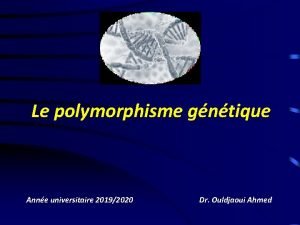 Le polymorphisme gntique Anne universitaire 20192020 Dr Ouldjaoui