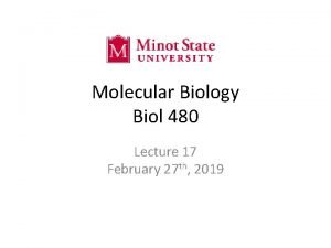 Molecular Biology Biol 480 Lecture 17 February 27