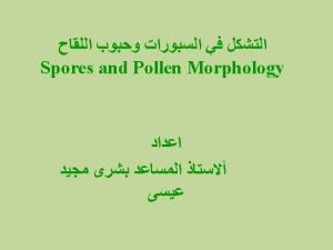 Pollen polarity