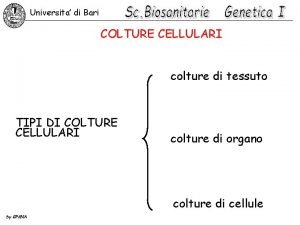 Universita di Bari COLTURE CELLULARI colture di tessuto