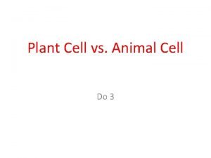 Plant Cell vs Animal Cell Do 3 Objective