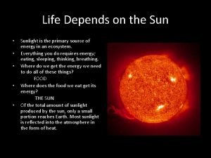 Life depends on the sun