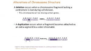 Alterations of Chromosome Structure A deletion occurs when