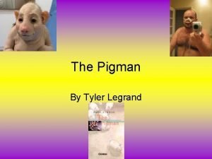 The pigman summary