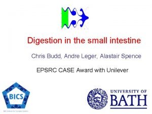 Digestion in the small intestine Chris Budd Andre