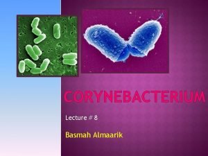 CORYNEBACTERIUM Lecture 8 Basmah Almaarik Catalase ve Motile