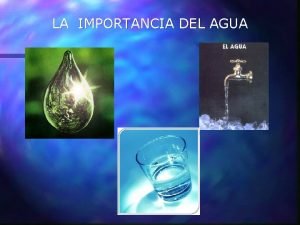 LA IMPORTANCIA DEL AGUA Sabas que El mecanismo