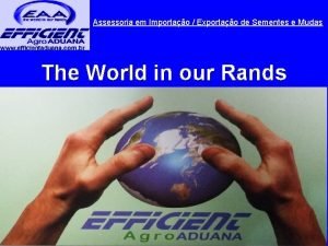 Assessoria em Importao Exportao de Sementes e Mudas