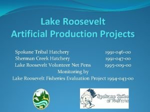 Lake Roosevelt Artificial Production Projects Spokane Tribal Hatchery