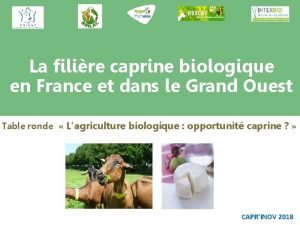 La filire caprine biologique en France et dans