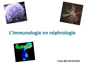 Limmunologie en nphrologie Cours DES 29102015 Le systme