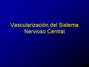 Arterias meningeas Arterias meningeas
