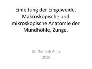 Einleitung der Eingeweide Makroskopische und mikroskopische Anatomie der