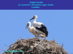 Deerli Dostlar bu sunumum mevsimine uygun olarak Leylekler